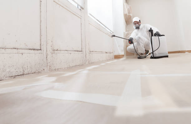 Post-remediation clearance in Henderson